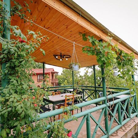 Guest House Evdoshvili St N5 ซิคนาคี ภายนอก รูปภาพ