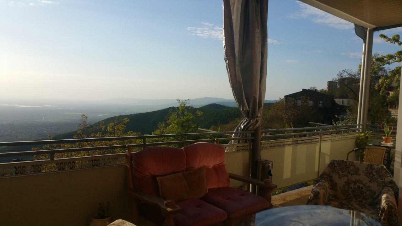 Guest House Evdoshvili St N5 ซิคนาคี ภายนอก รูปภาพ