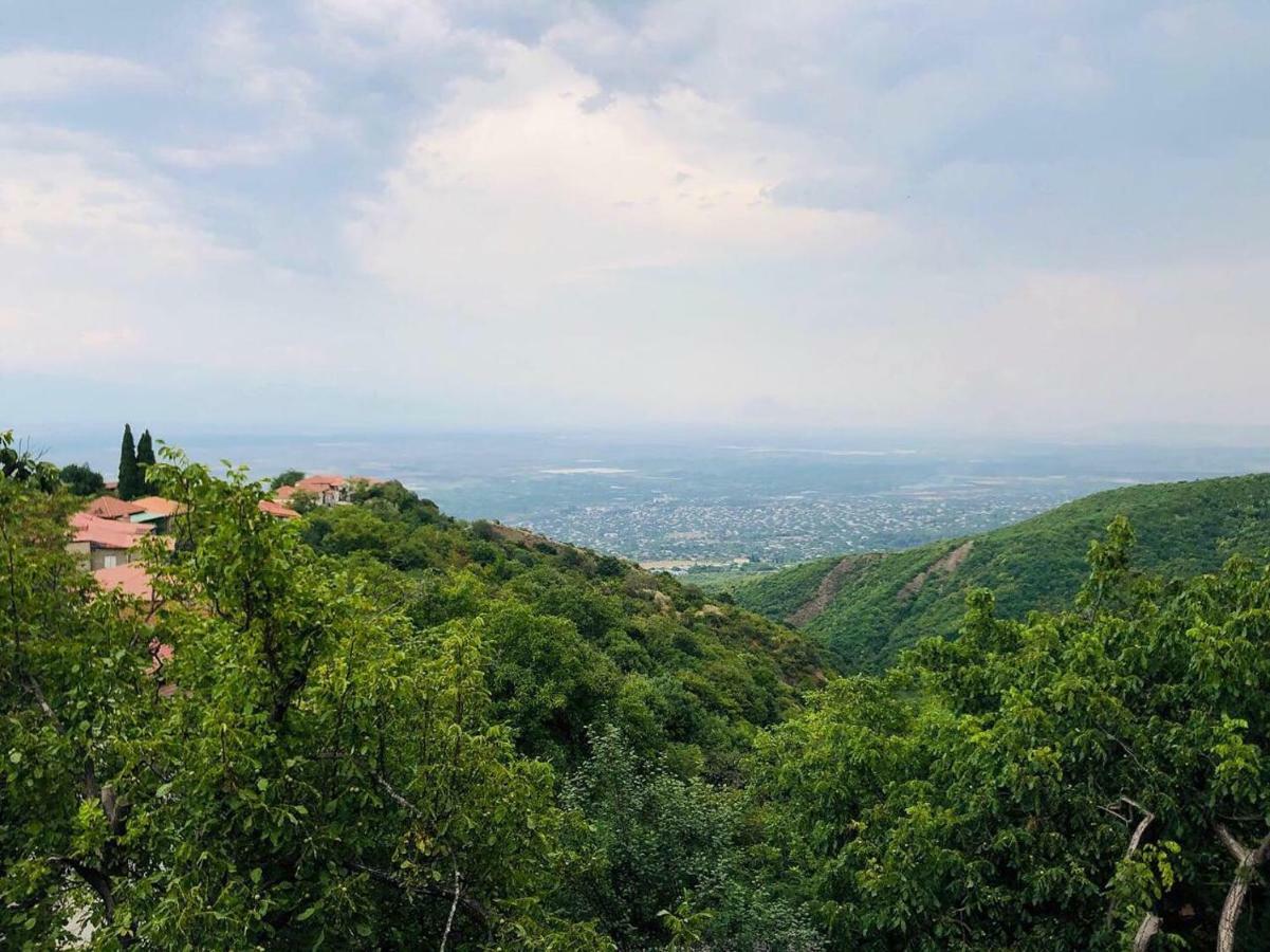 Guest House Evdoshvili St N5 ซิคนาคี ภายนอก รูปภาพ